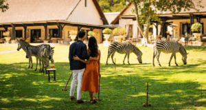 The Royal Livingstone Hotel croquet with Zebras. Credit: supplied.