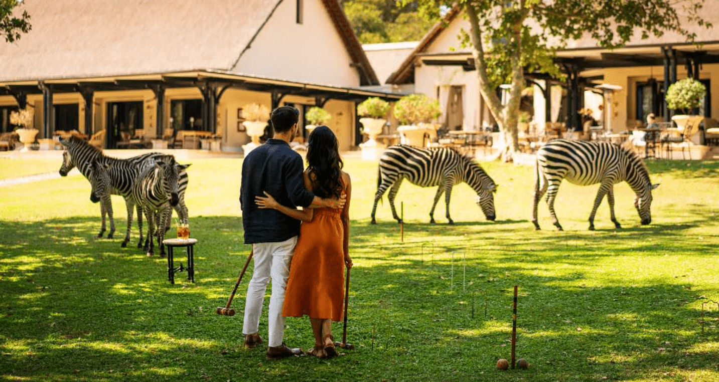 The Royal Livingstone Hotel croquet with Zebras. Credit: supplied.