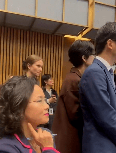 Chinese media officials attempted to block journalist Cheng Lei (left) from being filmed at a parliament press event. Credit: X/Twitter