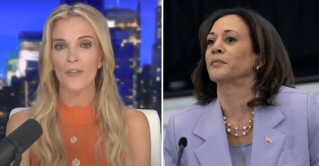 ‘Slept Her Way into Politics’: Megyn Kelly Continues Racist, Misogynistic Attack on VP Kamala Harris (VIDEO)