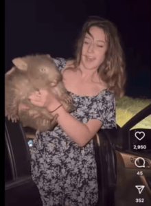 Controversial influencer Sam Jones sparked outrage after a video of her yanking a baby wombat from its mother went viral. Credit: TikTok