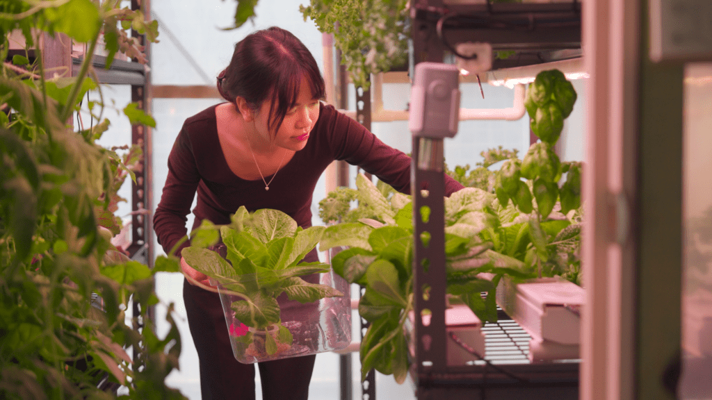 The End of the Supermarket? New Invention Lets You Grow a Full Garden in Your Apartment