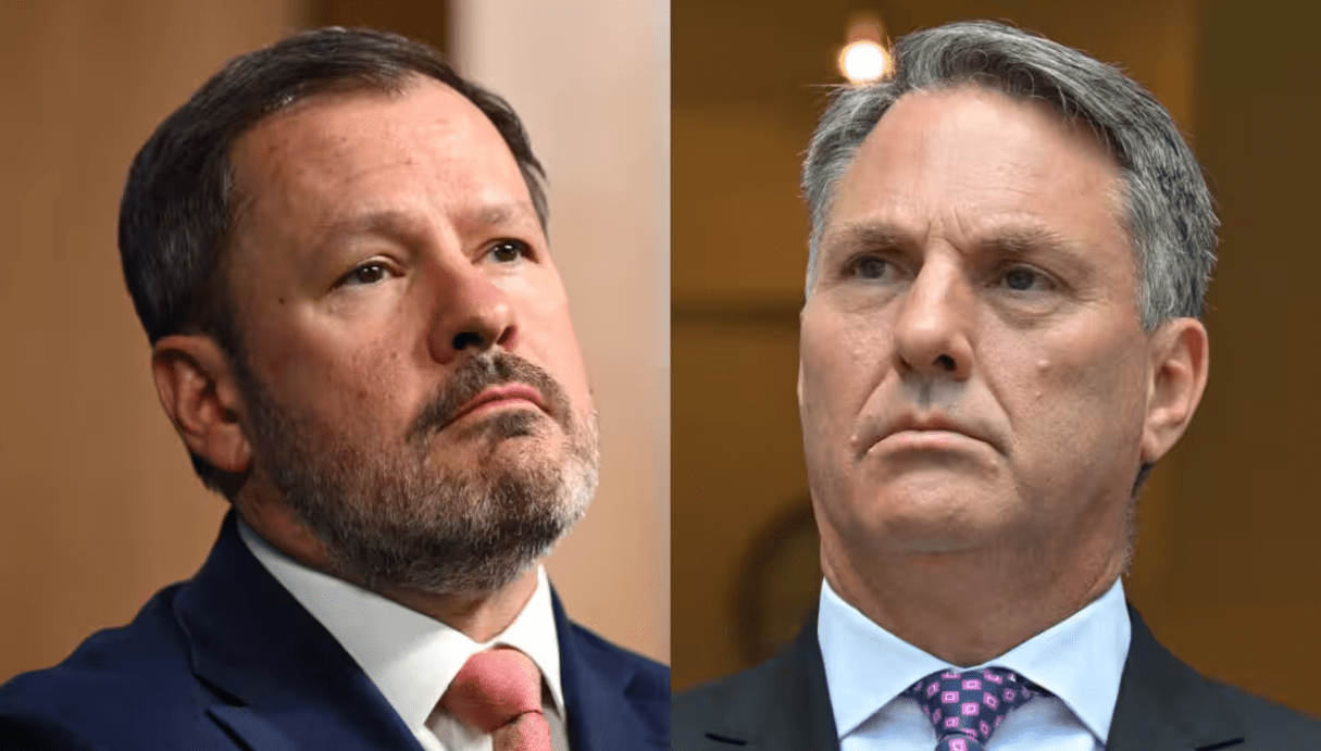Former industry minister Ed Husic has taken aim at Deputy Prime Minister Richard Marles. Credit: YouTube.