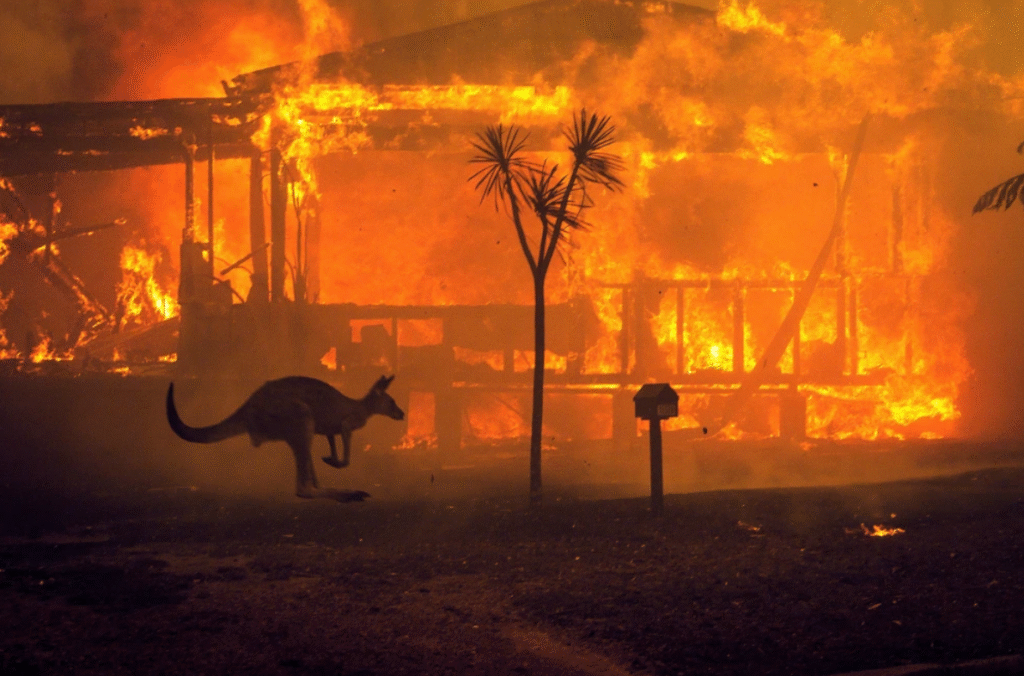 Most of Australia’s conservation efforts ignore climate risks – here are 3 fixes